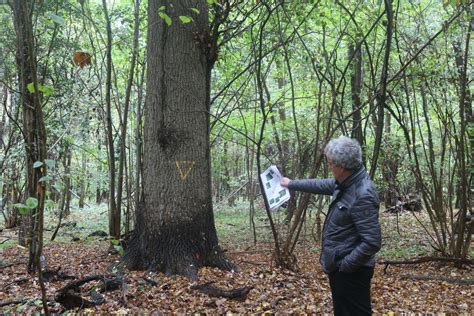 Le Parc de la Forêt Spirituelle: Un Sanctuaire Naturel au Coeur de Xiangtan !