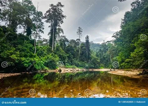  Le Château de Taman Negara : Un Joyau Vert Perdu Dans la Jungle Malaise!