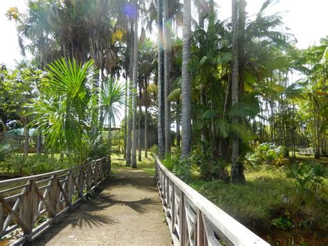 Le Jardin Botanique de Bucaramanga : Un Sanctuaire Vert au Cœur des Andes Colombiens !