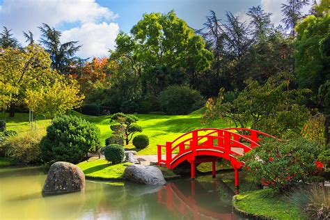 Le Jardin Japonais de Curitiba: Une Oasis de Tranquillité au Cœur du Brésil !